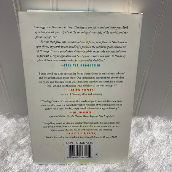 Call it Grace Finding Meaning in a Fractured World by Serene Jones - Picture 2 of 4